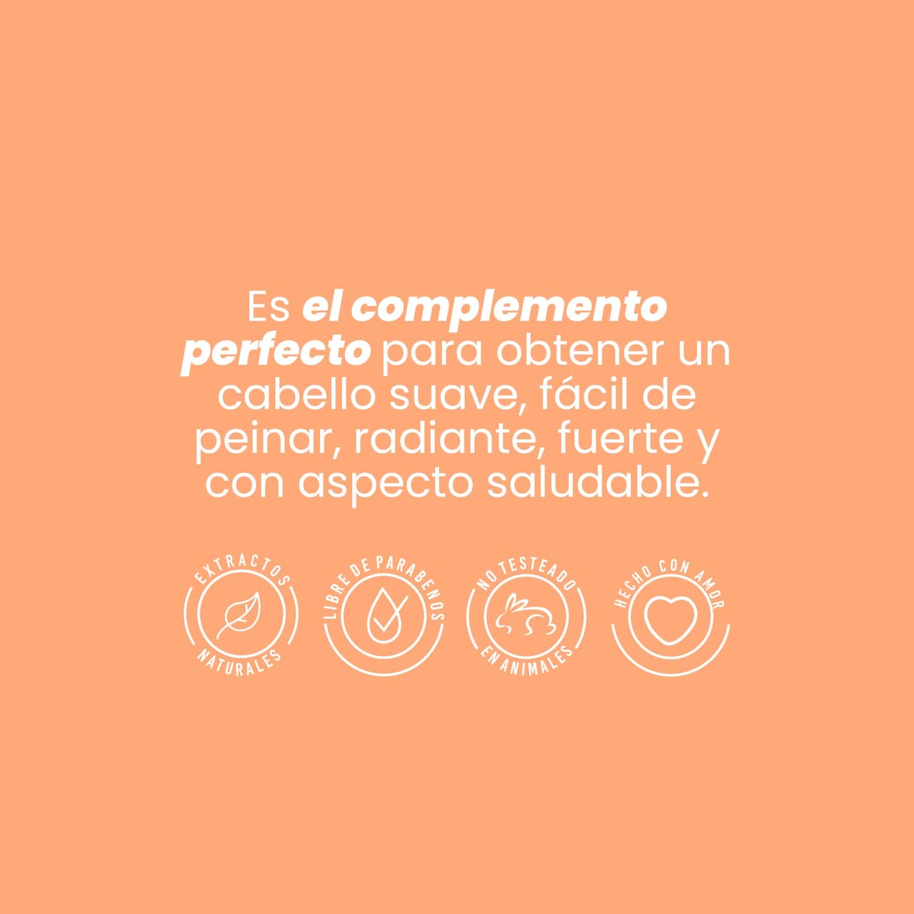 Anyeluz Acondicionador con Ginseng - imagen 3