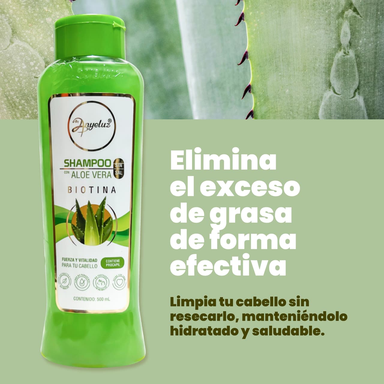 Anyeluz Shampoo Aloe Vera - imagen 2