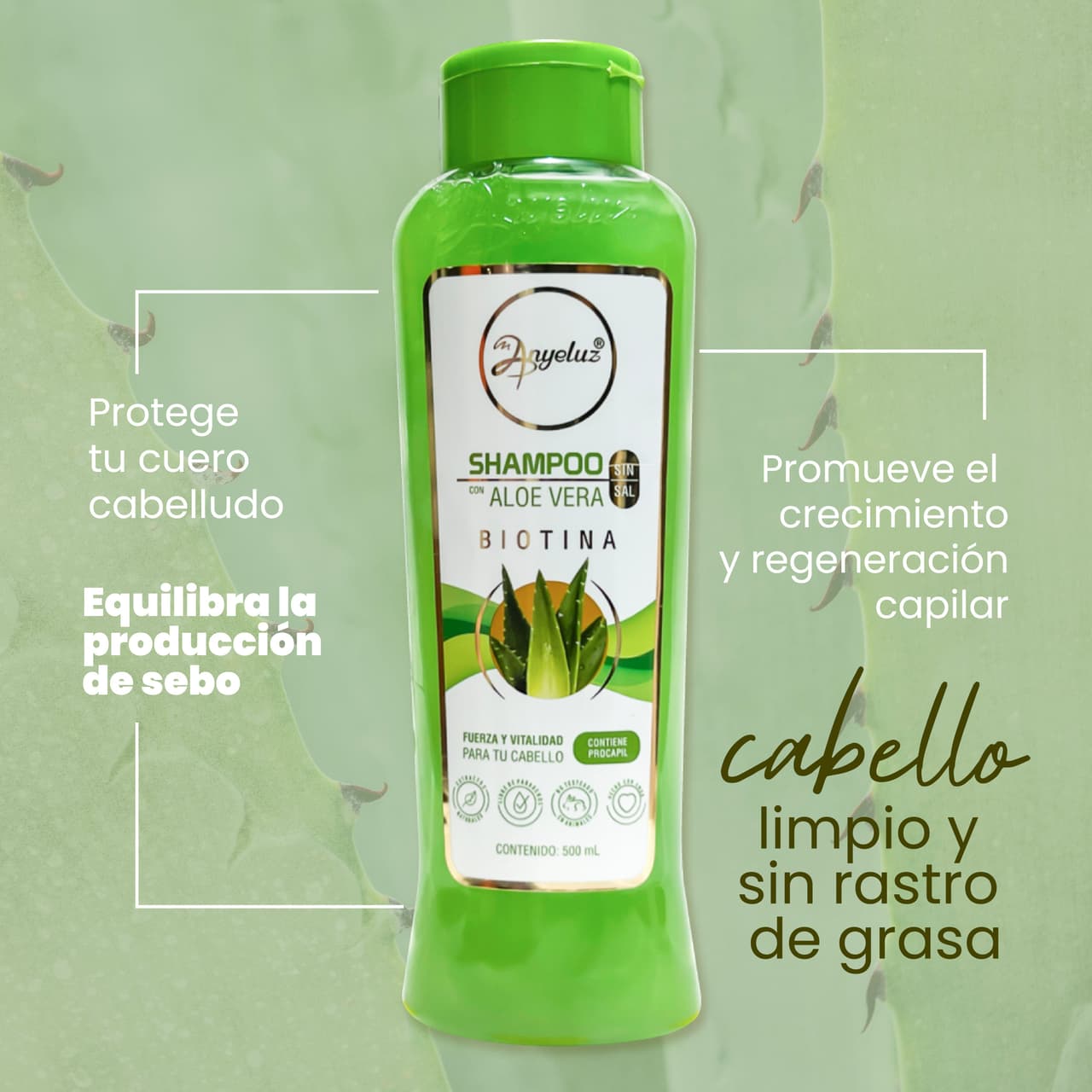 Anyeluz Shampoo Aloe Vera - imagen 3