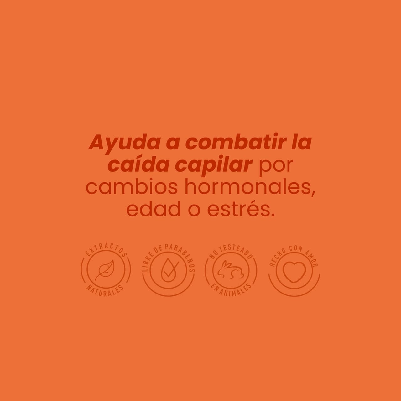 Anyeluz Shampoo con Ginseng - imagen 3