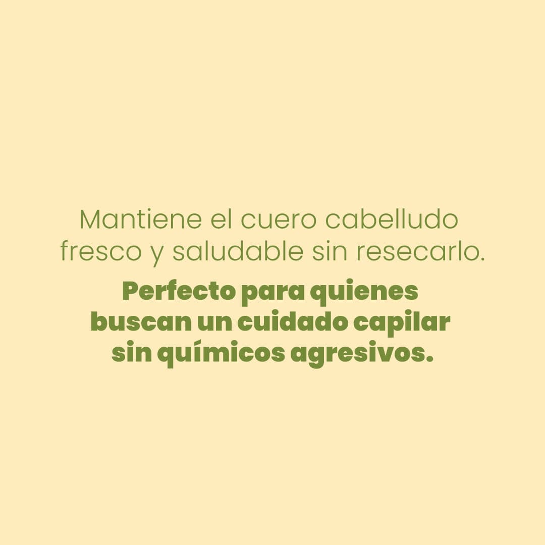 Anyeluz Shampoo con Manzanilla - imagen 3