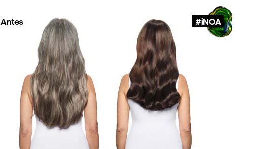 Detalle visual INOA L'Oréal Professionnel