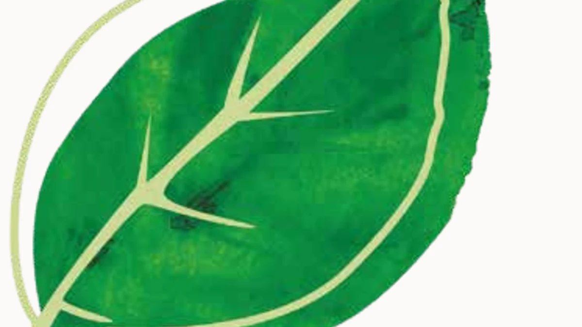 Ingredientes Vegan Keratin & Collagen