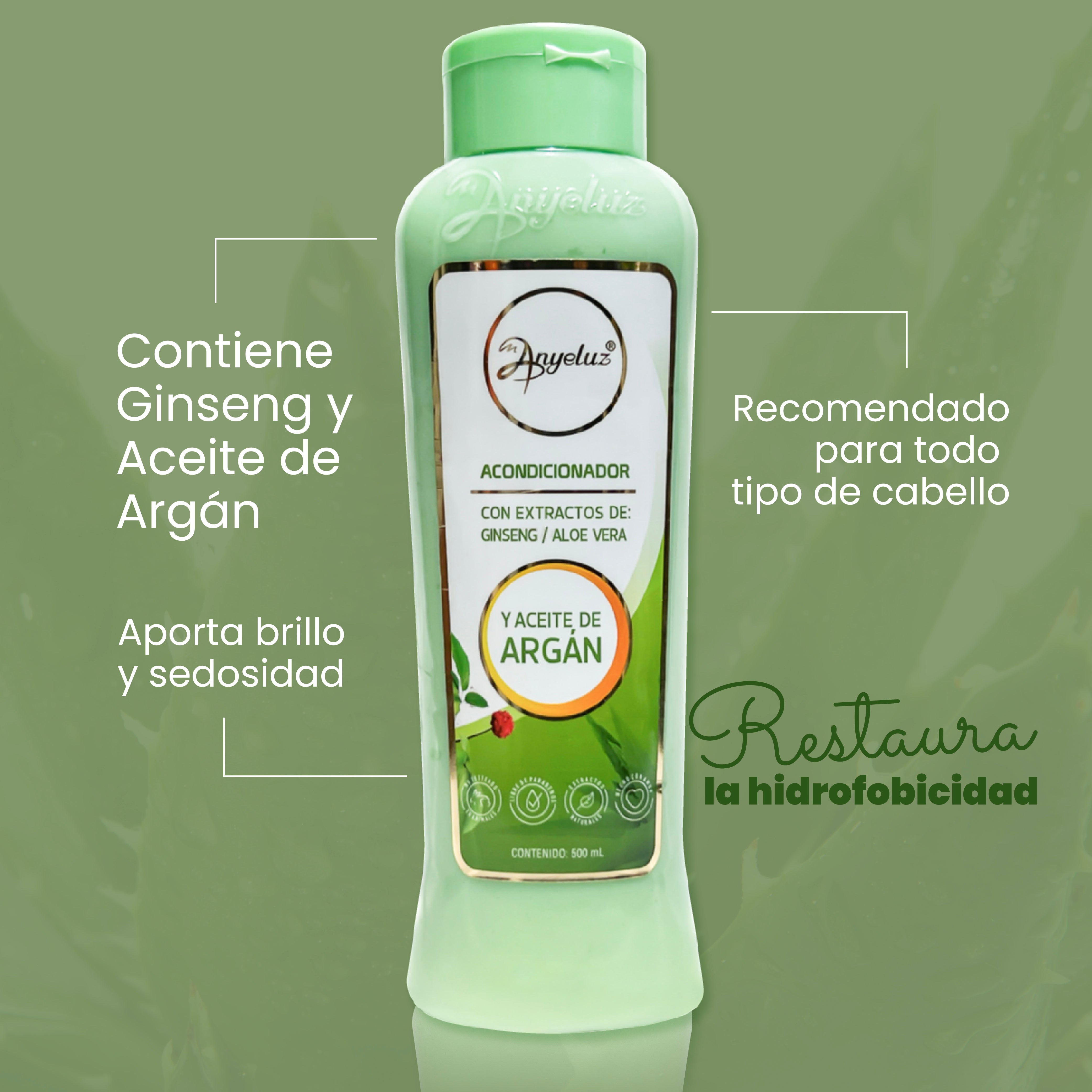 Anyeluz Acondicionador de Argán y Aloe Vera
