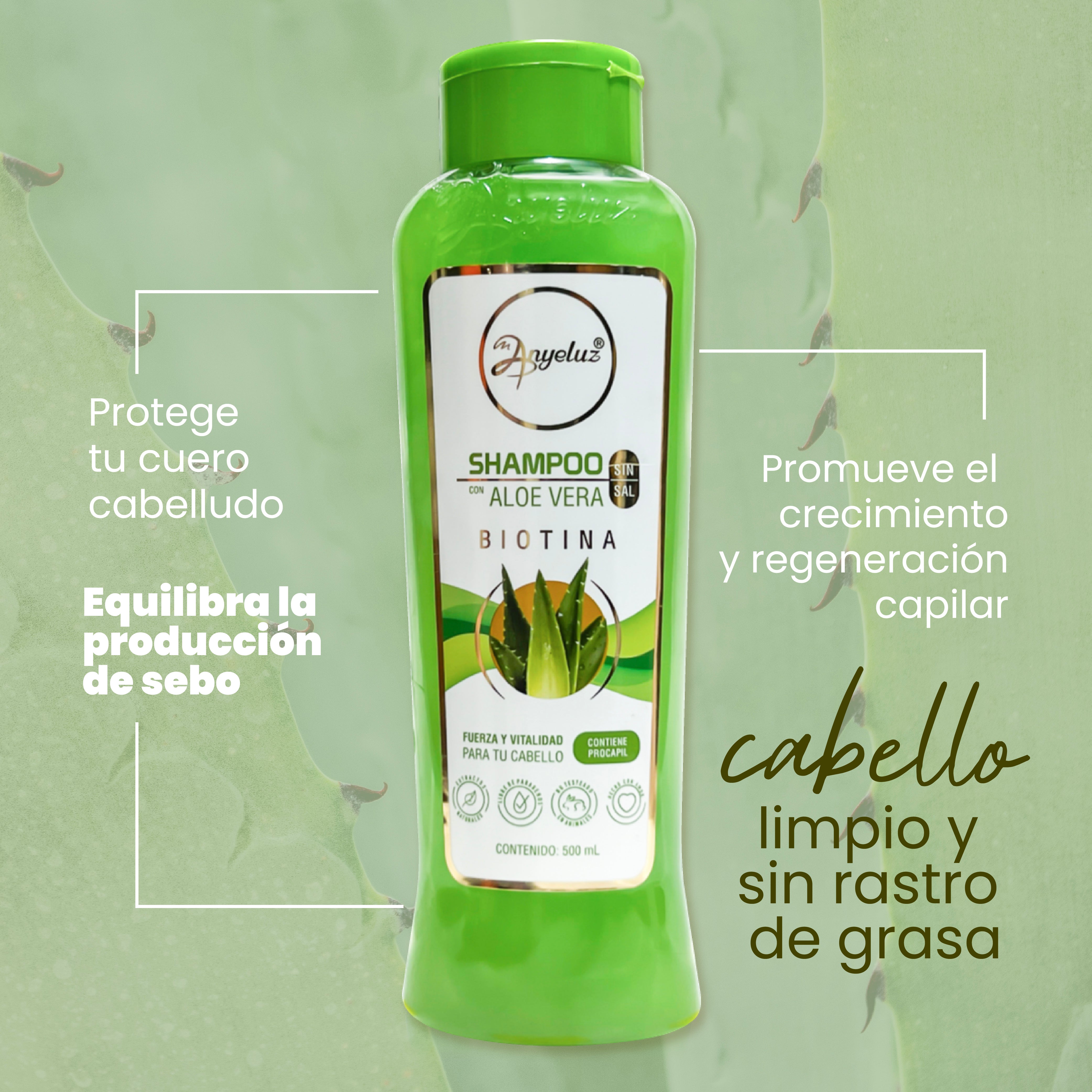 Anyeluz Shampoo Aloe Vera