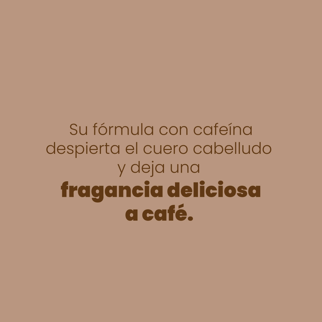 Anyeluz Shampoo con Café