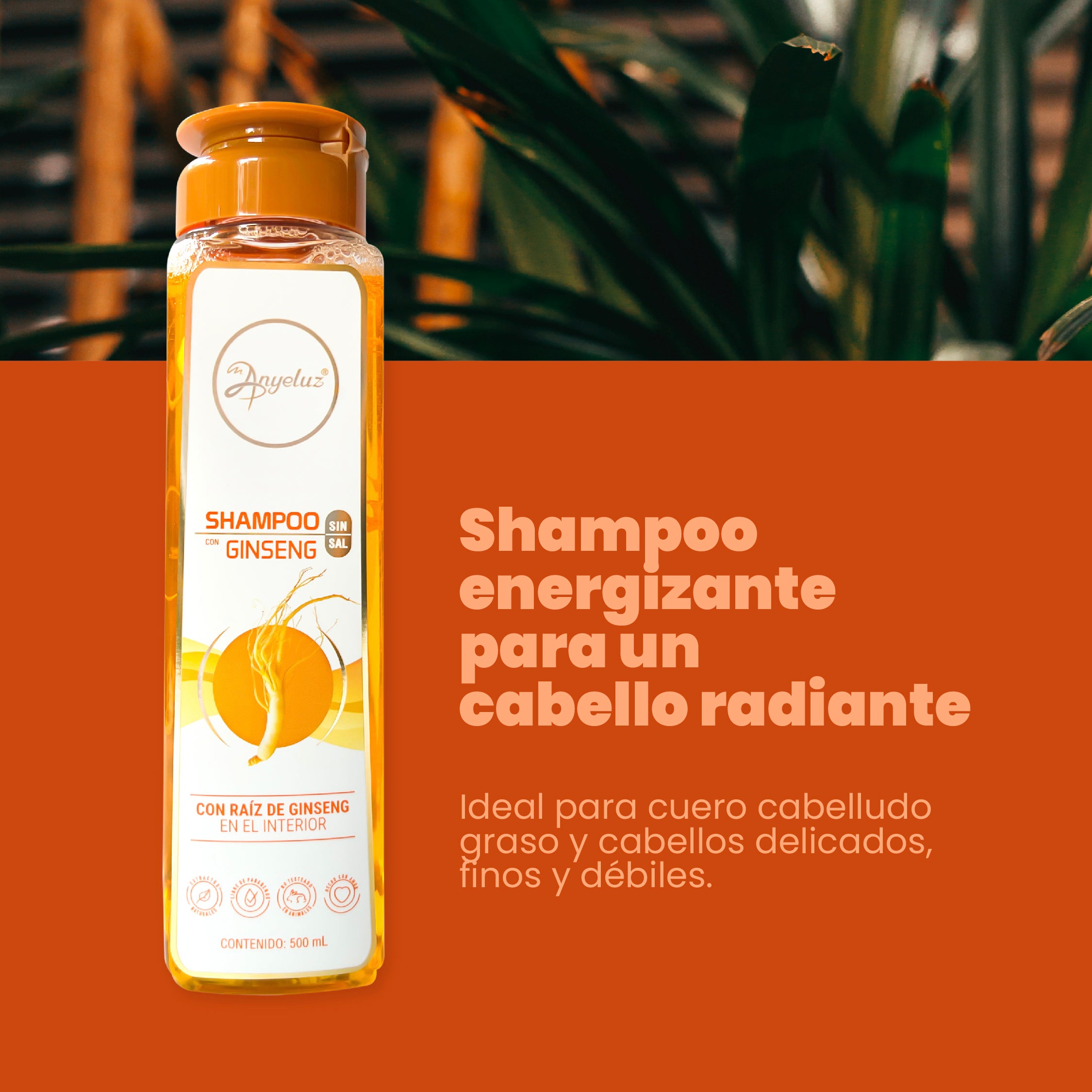 Anyeluz Shampoo con Ginseng