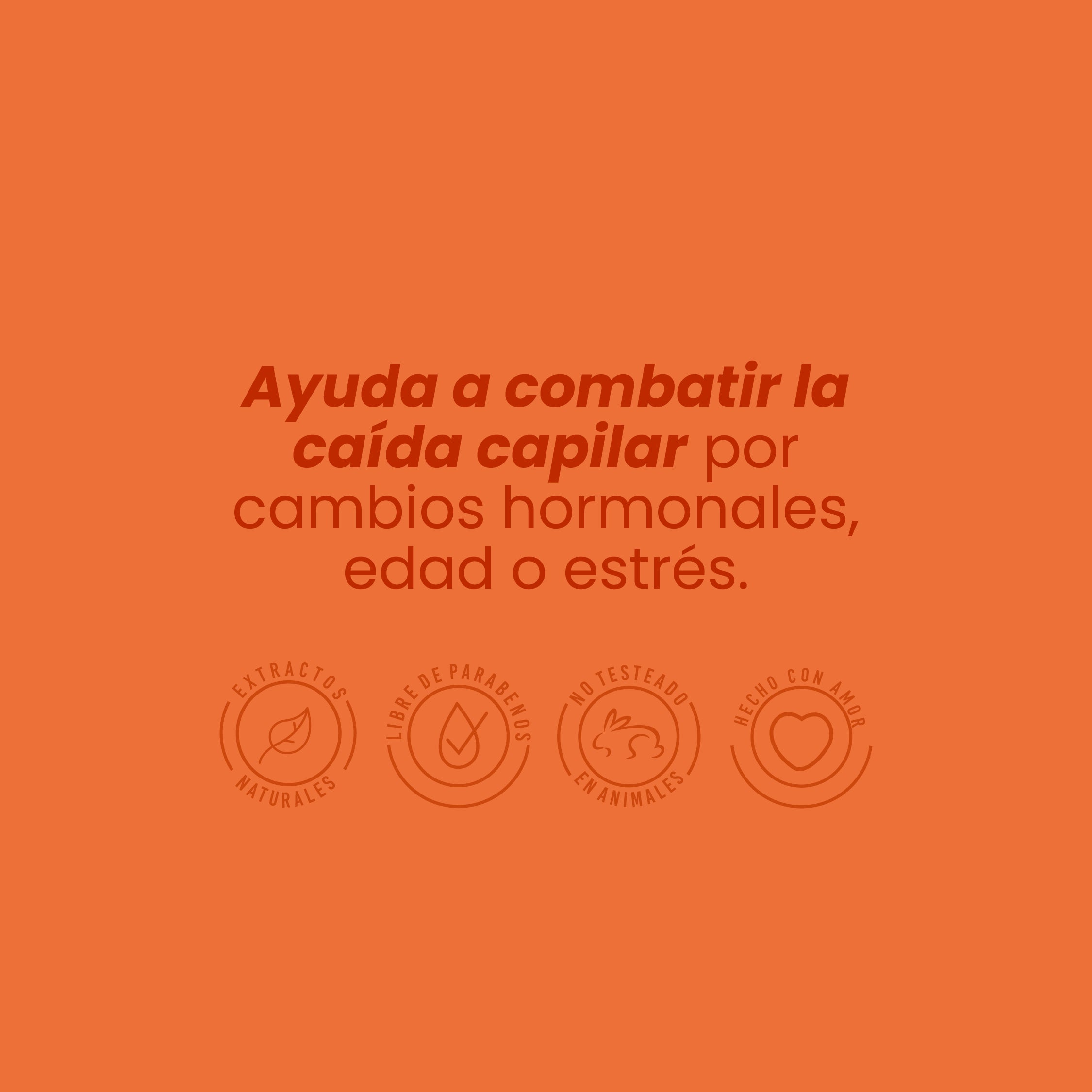 Anyeluz Shampoo con Ginseng
