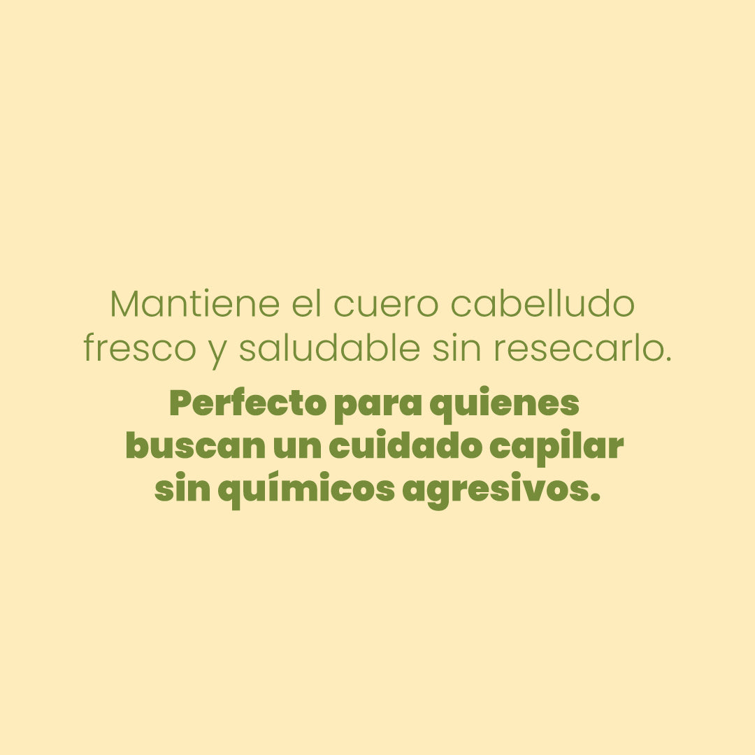Anyeluz Shampoo con Manzanilla
