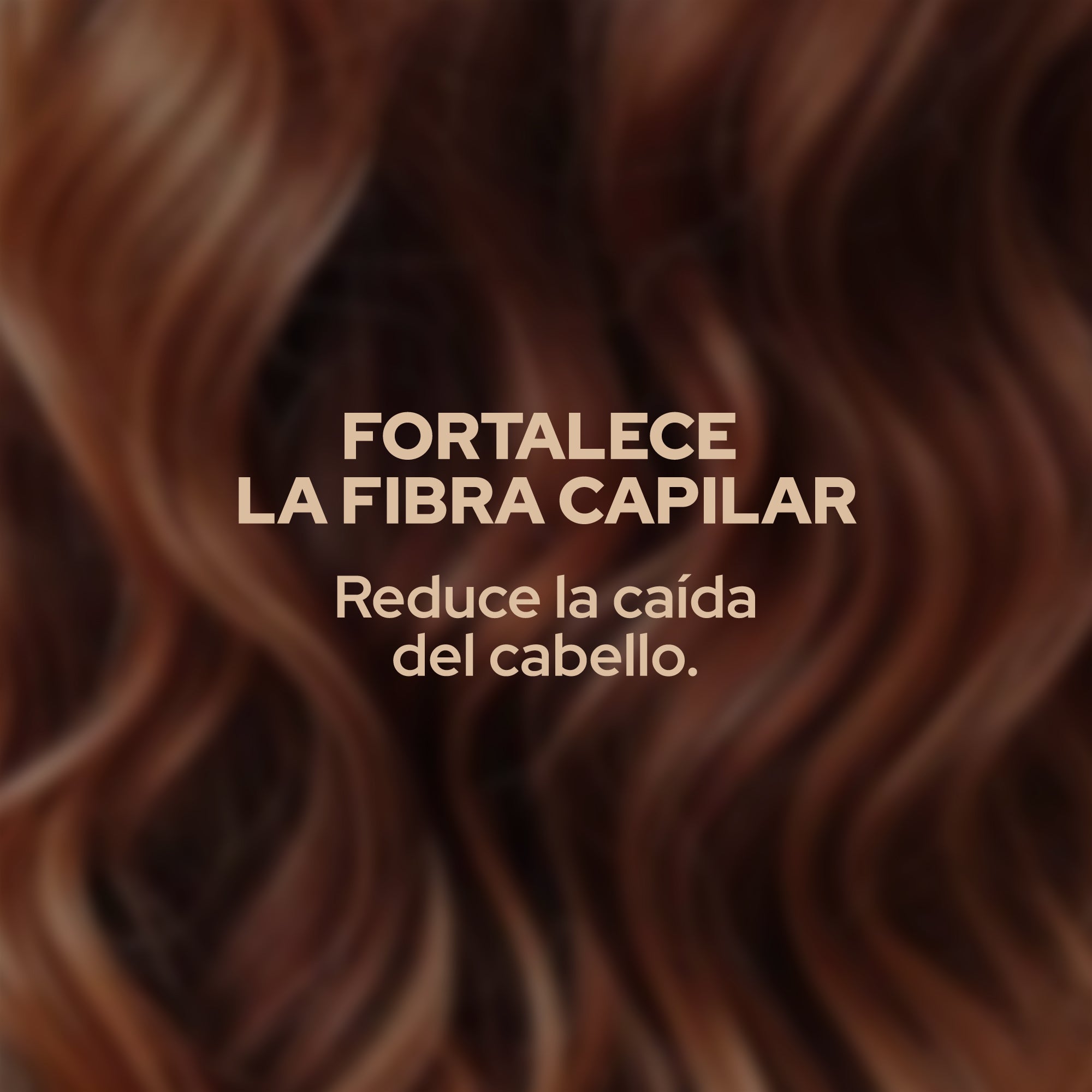 Anyeluz Shampoo con Romero